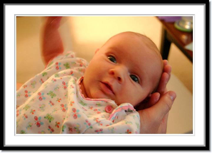 Click for the original image